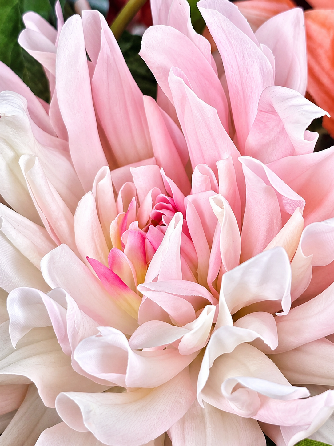 Zijden boeket Dahlia Explosion