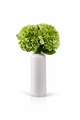 Zijden hortensia boeket Green Fortune met groene hortensia’s in witte vaas van Fleurisant