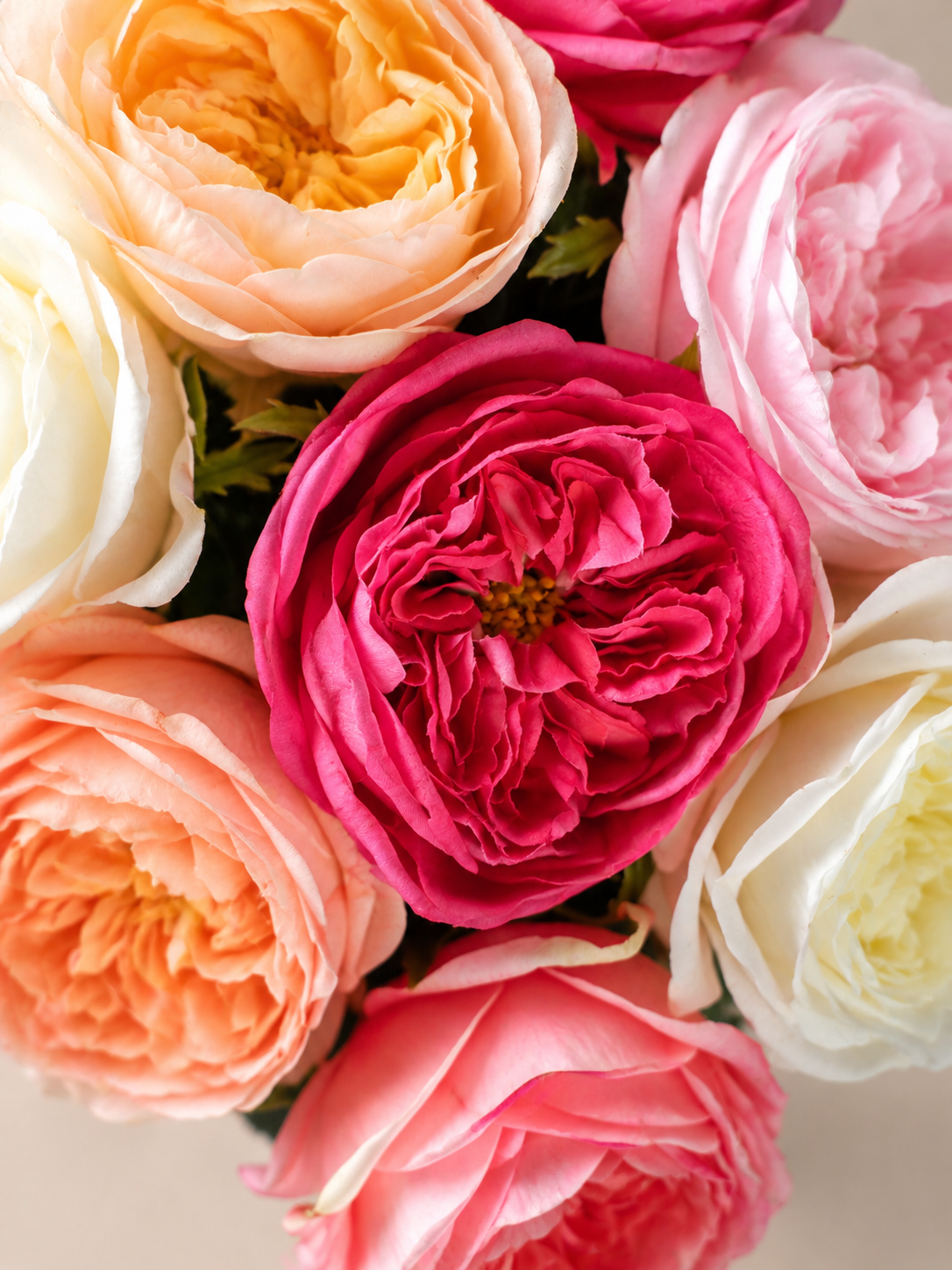 Real Touch rozen boeket Damas